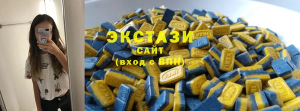гидра Няндома