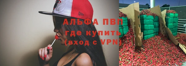 гидра Няндома