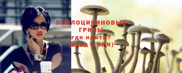 гидра Новодвинск