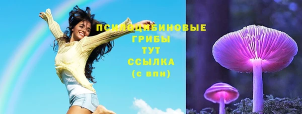 хмурый Нязепетровск