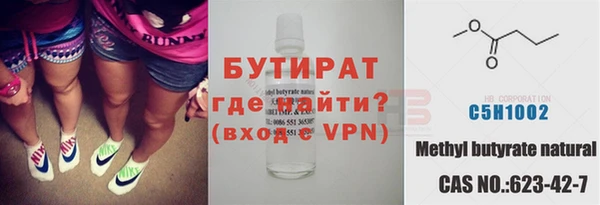 гидра Няндома