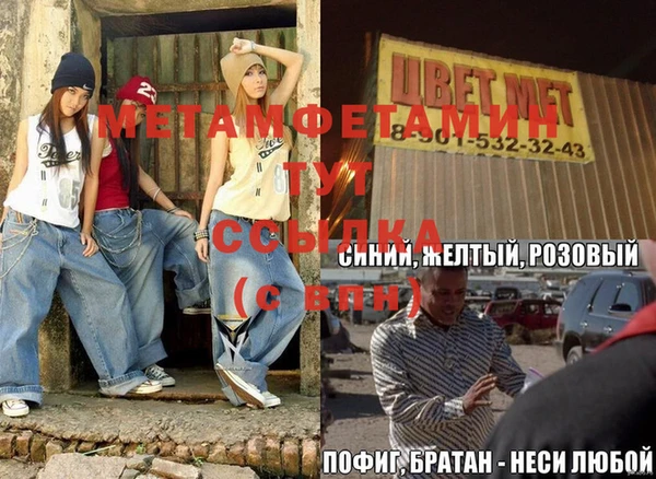 гидра Няндома