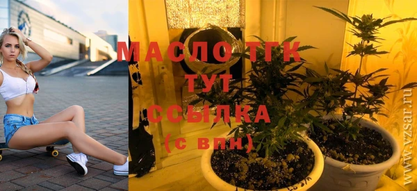 гидра Няндома