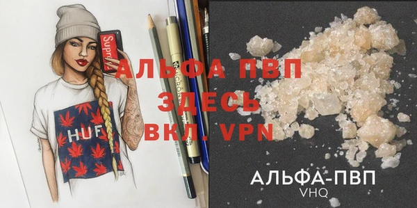 гидра Новодвинск