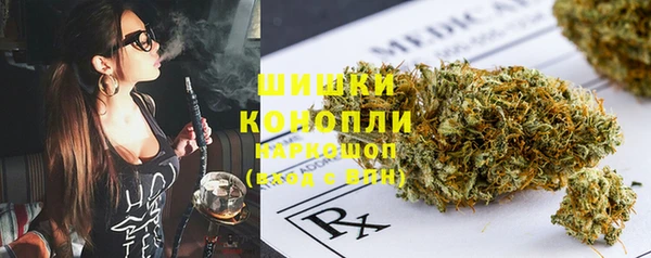 гидра Няндома