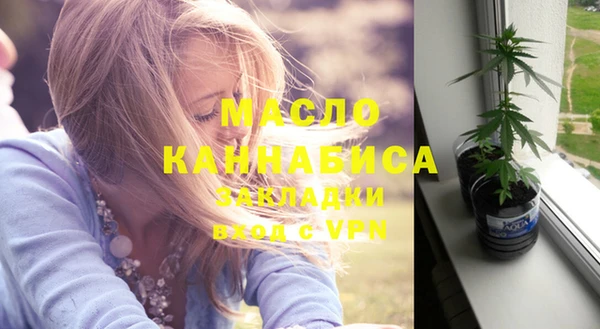 гидра Няндома