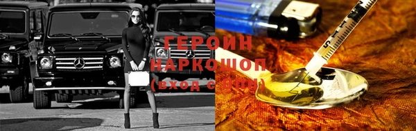 гидра Няндома