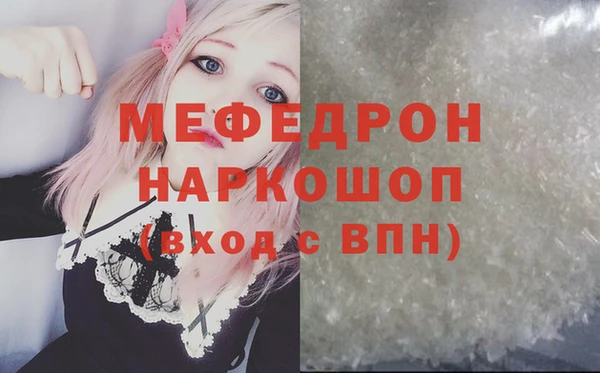 гидра Няндома