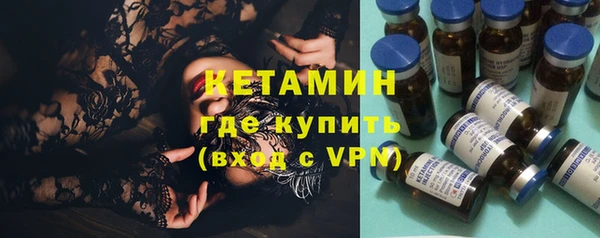 гидра Няндома