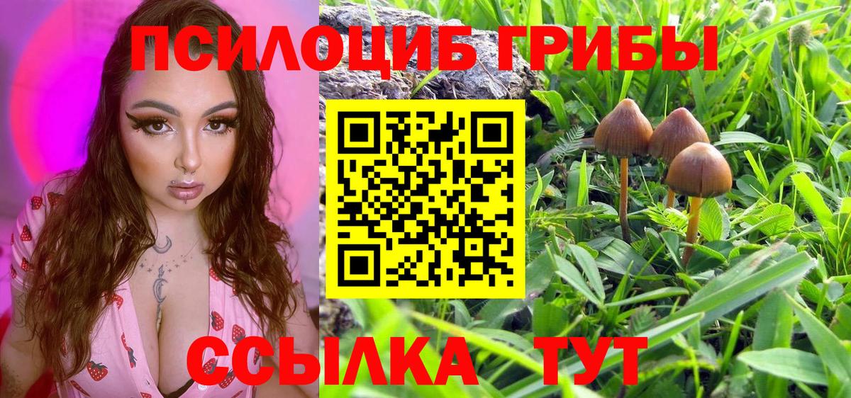 Галлюциногенные грибы ЛСД  Вход с VPN  Галлюциногенные грибы Magic Shrooms  Лосино-Петровский 