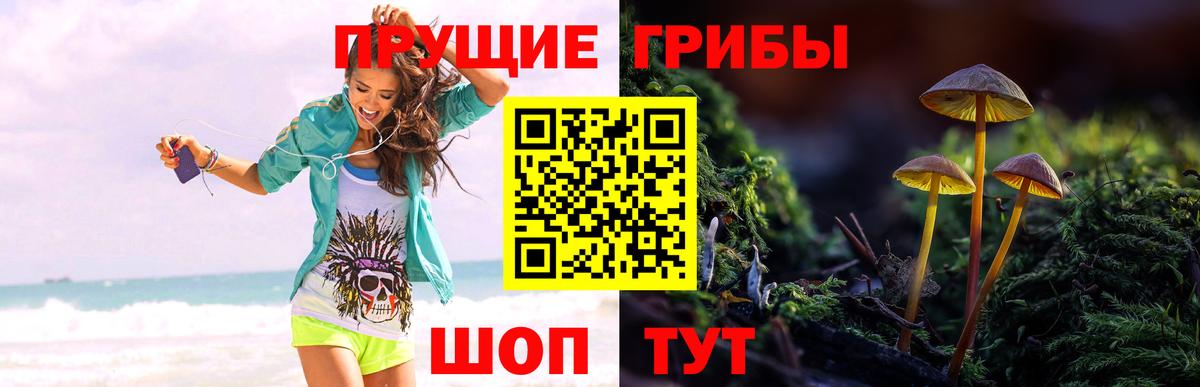 Галлюциногенные грибы GOLDEN TEACHER Лосино-Петровский