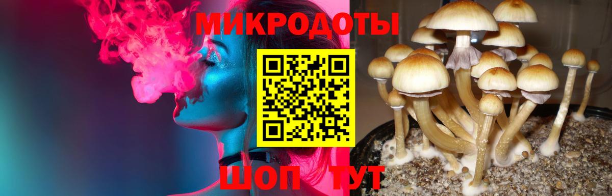 Псилоцибиновые грибы Psilocybe Лосино-Петровский